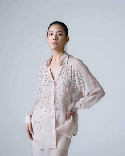Hand-embellished organza shirt