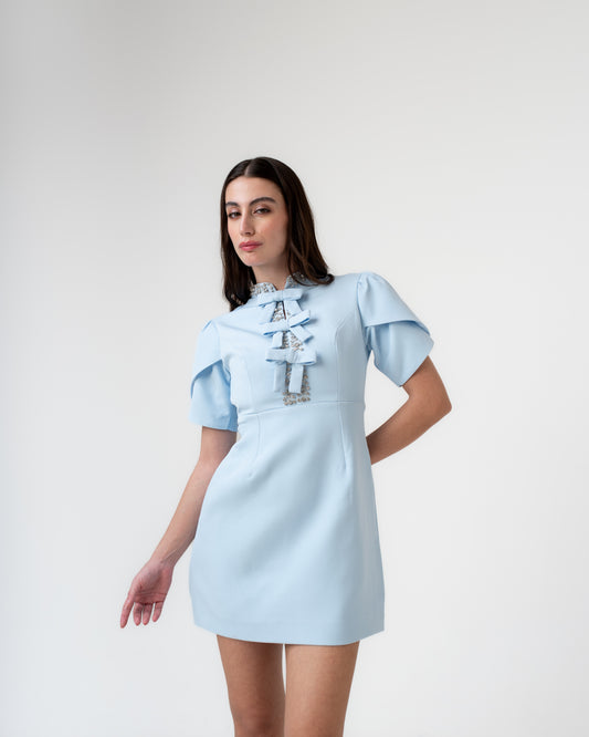 Eloise Mini Dress