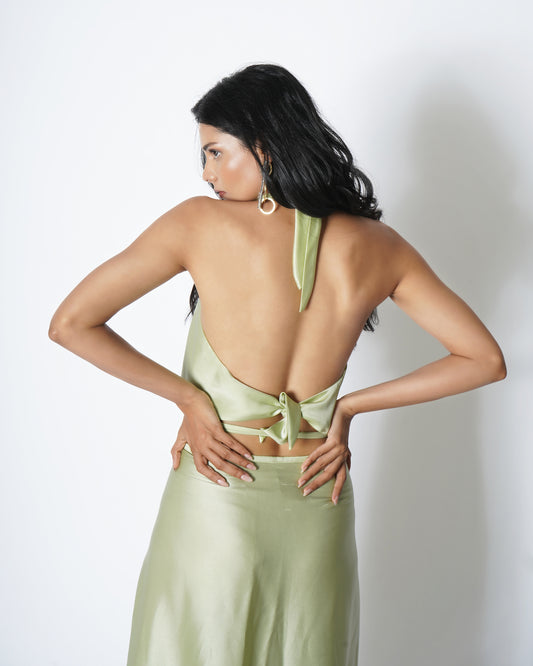 Backless halterneck top